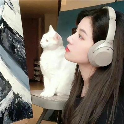 一棵树